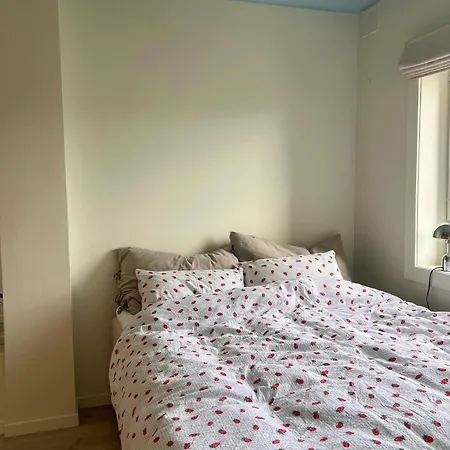 Top-floor Flat With Views Over And Ostmarka Oslo