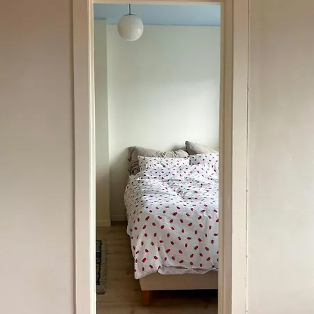 Top-floor Flat With Views Over And Ostmarka * Oslo